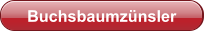 Buchsbaumzünsler